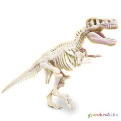   Science & Play: T-Rex fluoreszkáló régészeti készlet - Clementoni