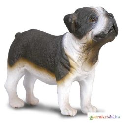 Collecta - Angol Bulldog