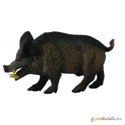 Collecta - Vaddisznó - Kan