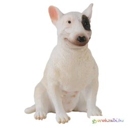 Collecta - Bullterrier - Nőstény