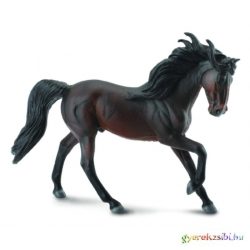 Collecta Andalúziai Ló