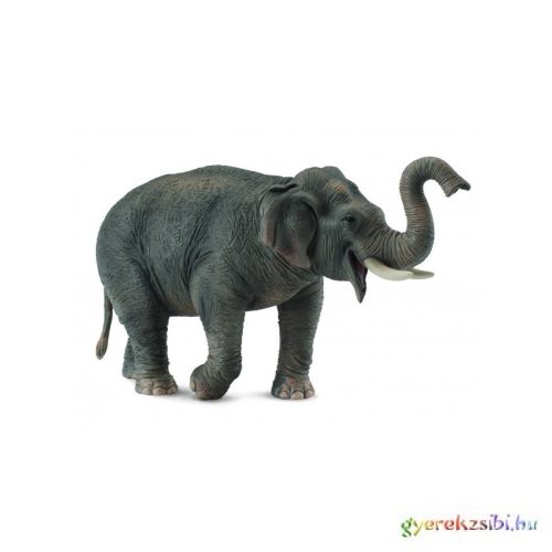 Collecta - Ázsiai Elefánt