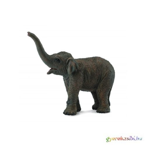 Collecta - Ázsiai Elefánt Bébi