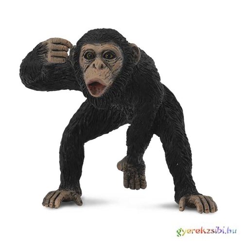 Collecta - Csimpánz - Hím