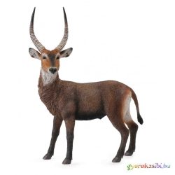 Collecta - Vizi Bak