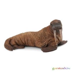 Collecta - Rozmár