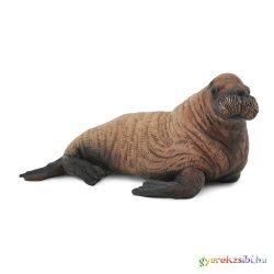 Collecta - Rozmár Borjú