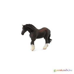 Collecta - Shire Kanca