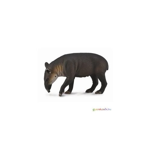Collecta - Braid's - Közönségs tapír