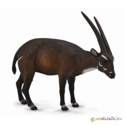 Collecta - Szaola