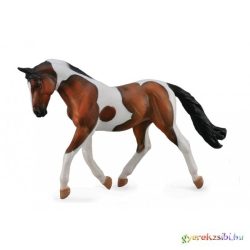 Collecta - Pinto Kanca