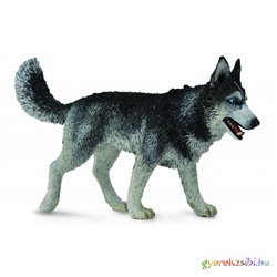 Collecta - Szibériai Husky
