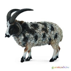 Collecta - Jacob Juh