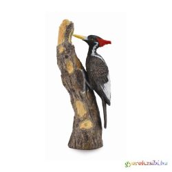 Collecta - Elefántcsont Csőrű Harkály