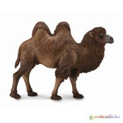 Collecta - Kétpúpú Teve