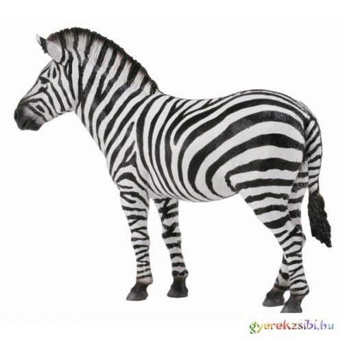 Collecta - Közönséges Zebra
