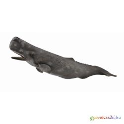 Collecta - Nagy Ámbráscet