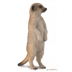 Collecta - Szurikáta