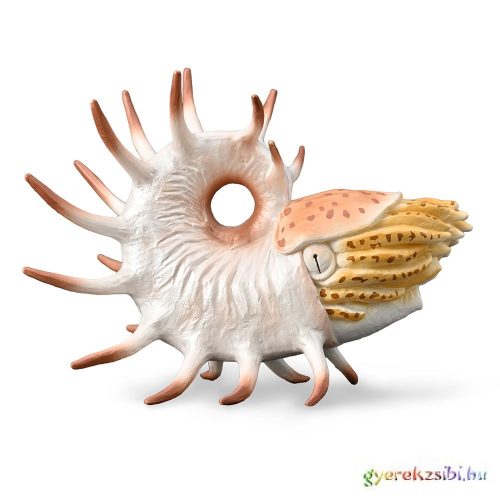 Collecta -  Coopeoceras