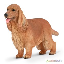 Angol Cocker Spaniel