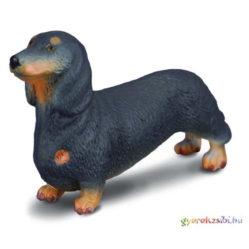 Collecta - Rövid szőrű Tacskó