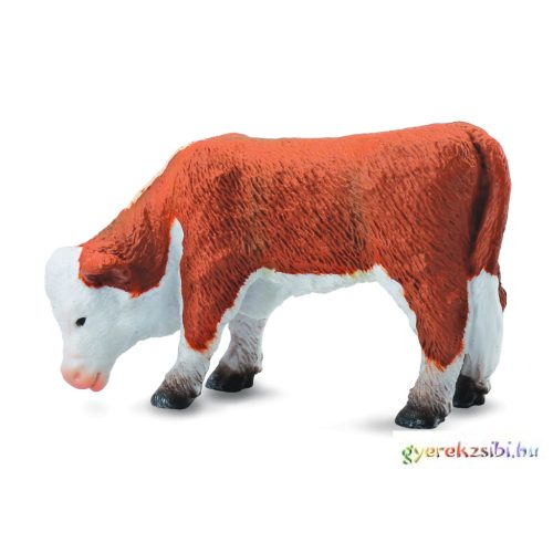 Collecta - Hereford borjú - Legelésző