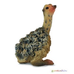 Collecta - Struc fióka