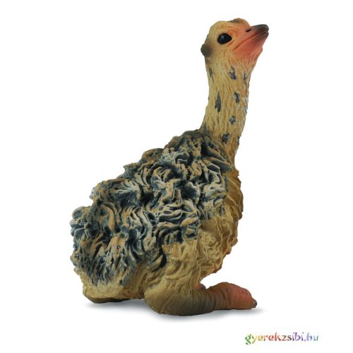 Collecta - Struc fióka