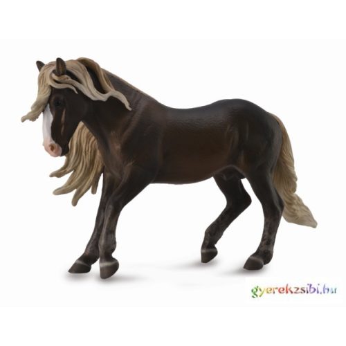 Black Forest Horse Stallion