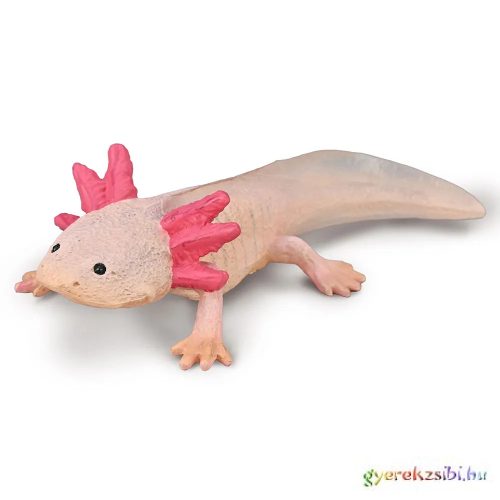 Collecta. - Axolotl