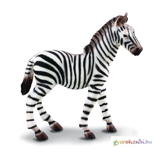 Collecta - Zebra csikó