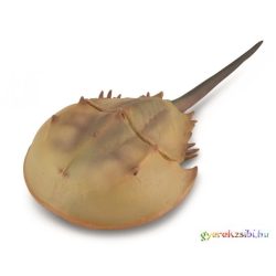 Collecta - Tőrfarkú rák