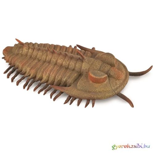 Collecta - TrilobitaL